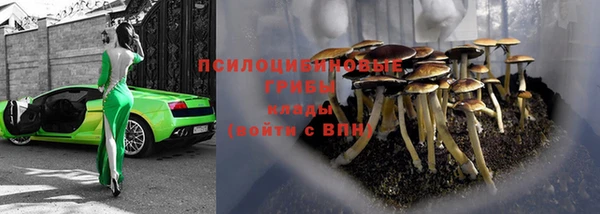 герыч Белокуриха